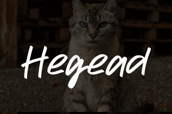 Hegead: A Modern Script Typeface for Brand Designers