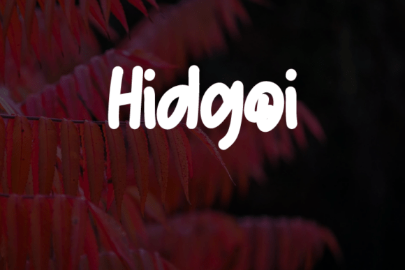 Hidgoi: A Designer's Field Test for Real Projects