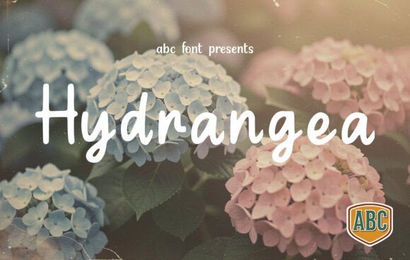 Hydrangea: A Handwritten Font That Builds Brand Recognition